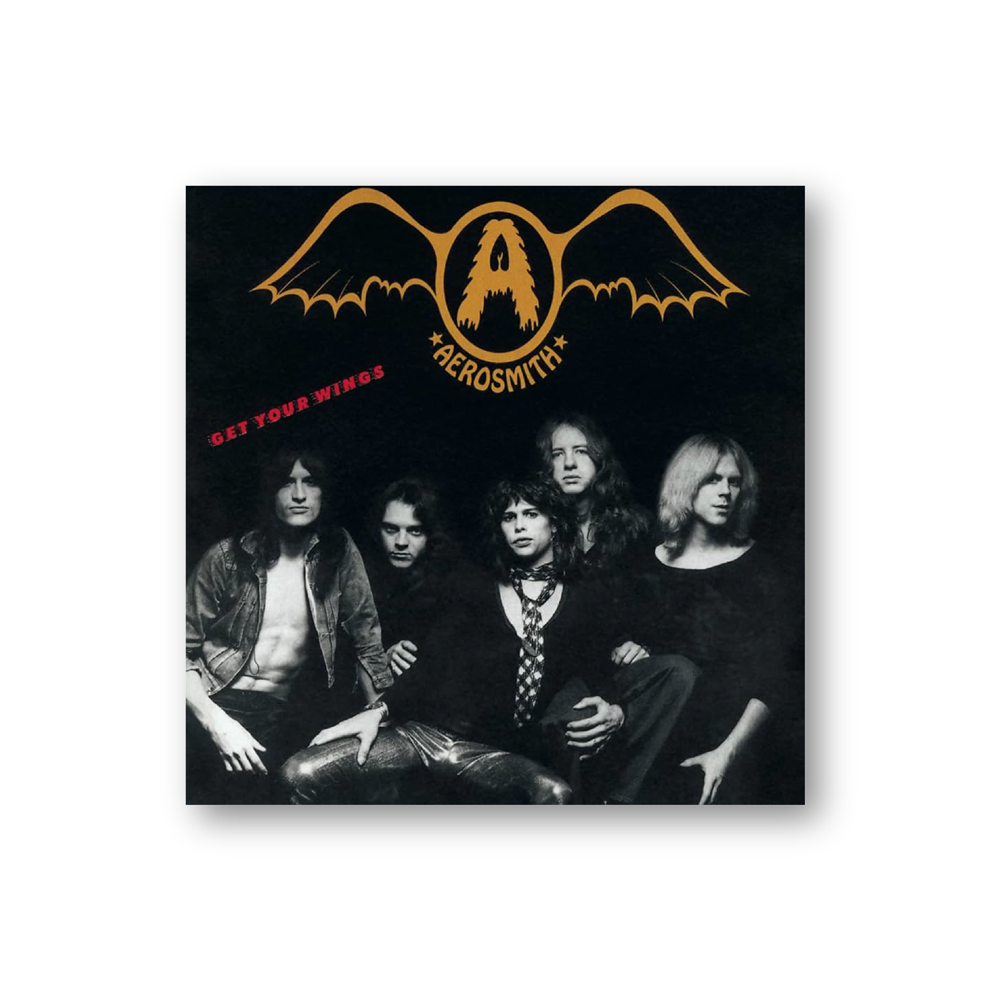 Get Your Wings (Vinyl LP)