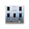 Glue (Vinyl LP)
