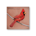Old Crows/Young Cardinals (Vinyl LP)