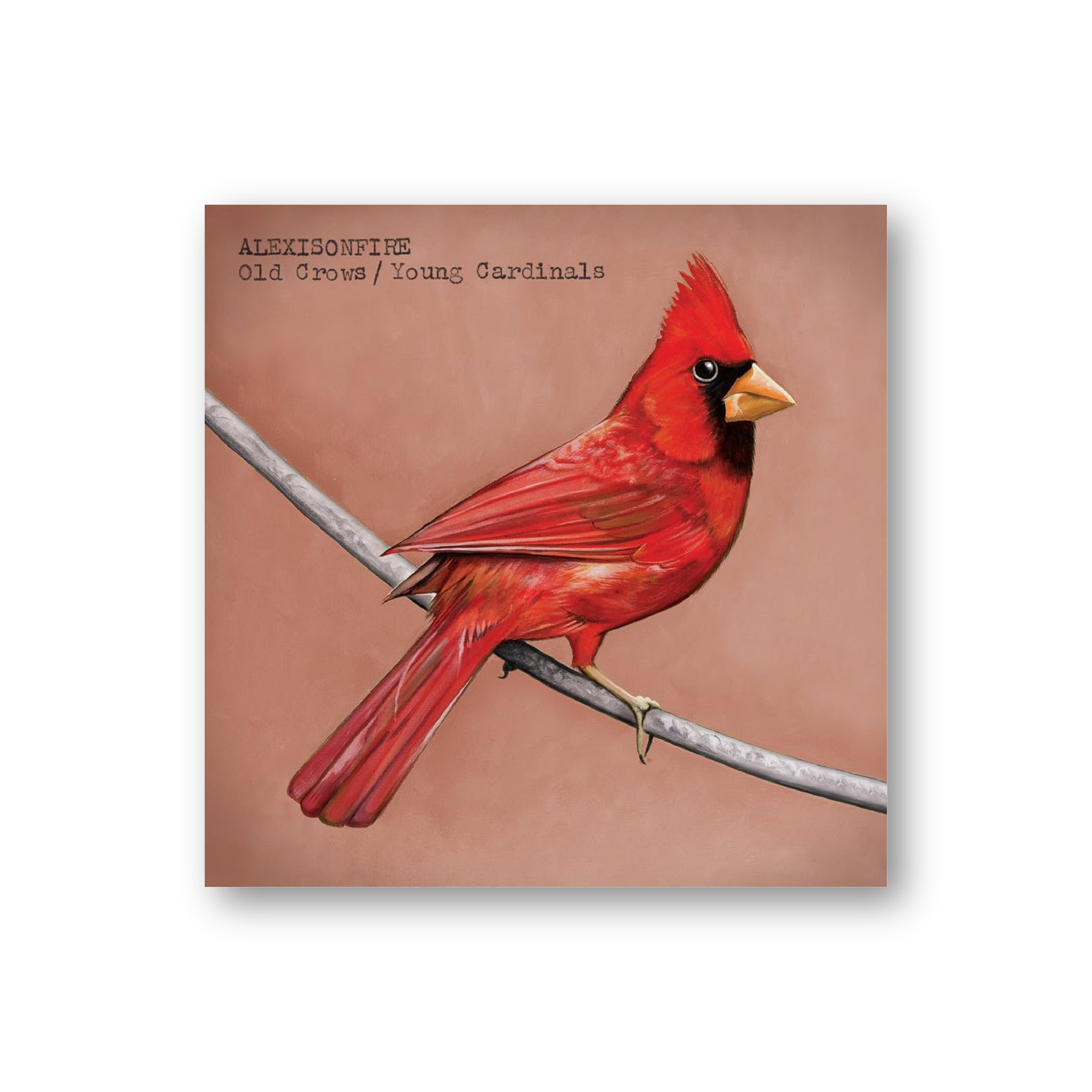 Old Crows/Young Cardinals (Vinyl LP)