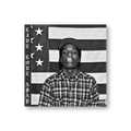 LIVE.LOVE.A$AP (Vinyl 2LP)
